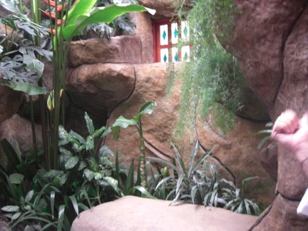 Costa Rica66