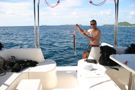 bvi 025