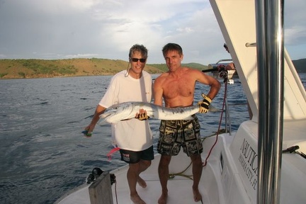 bvi 034