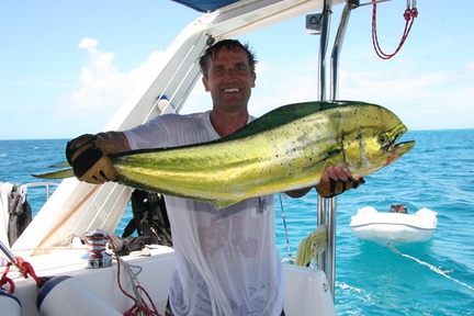 bvi 037