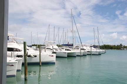 bvi 010